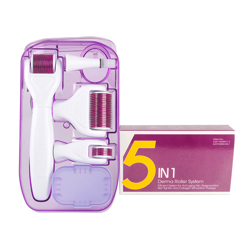 Derma Roller 5in1 - Kit Professionale Anti-Age per Viso