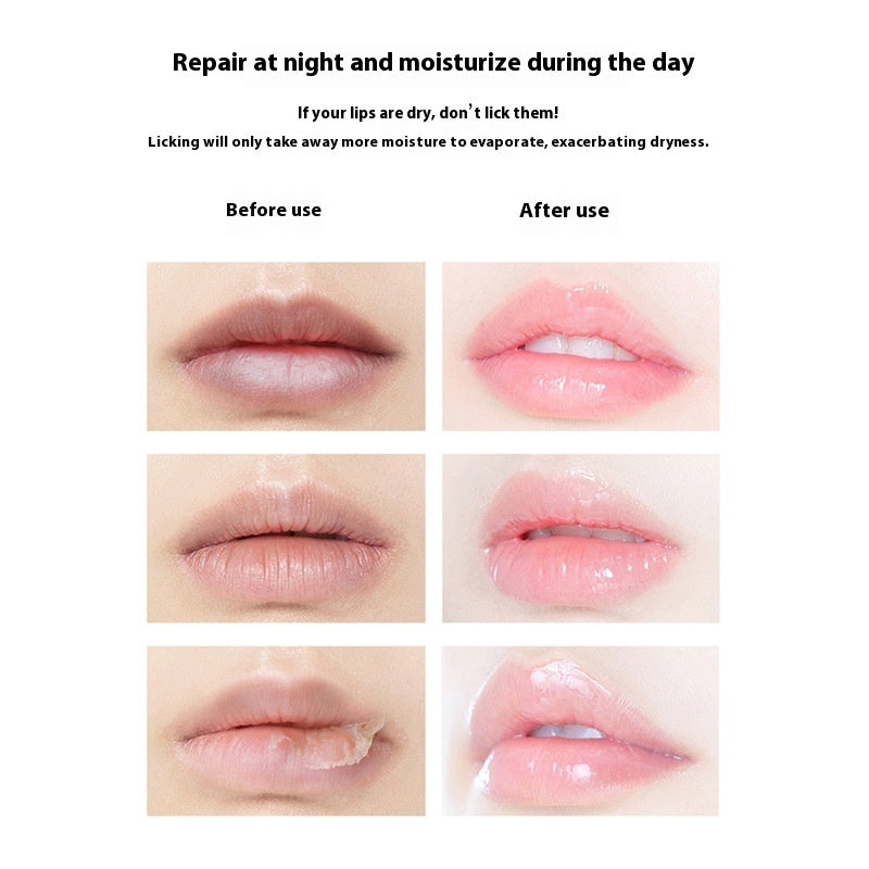 Repairing Sleep Lip Mask - Maschera Labbra Notte Riparatrice 20g